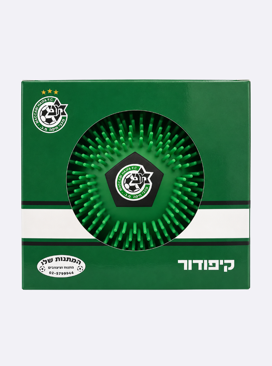 כדור קיפודור גדול