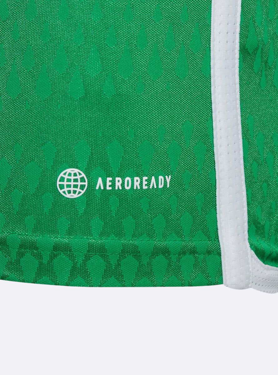 Green Home Shirt 23/24 - Men